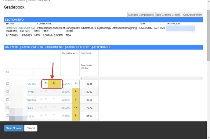 gradebook final grade green eye